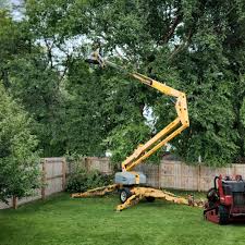 Best Stump Grinding and Removal  in Lynbrook, NY