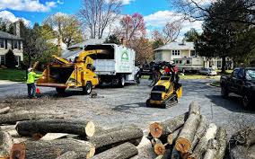 Best Soil Testing and Treatment  in Lynbrook, NY